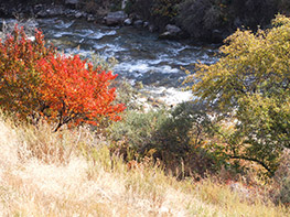 South Bishkek nature, Bishkek, Kyrgyzstan